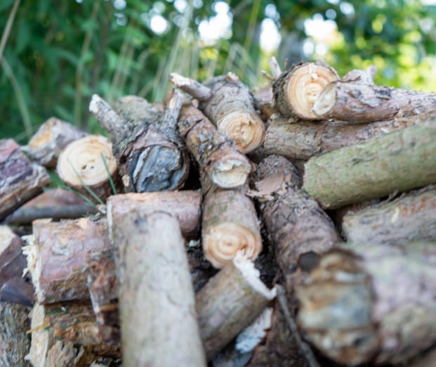 Remet CNC Holzhacker R100 Zapfwelle - bis 90mm Aststärke