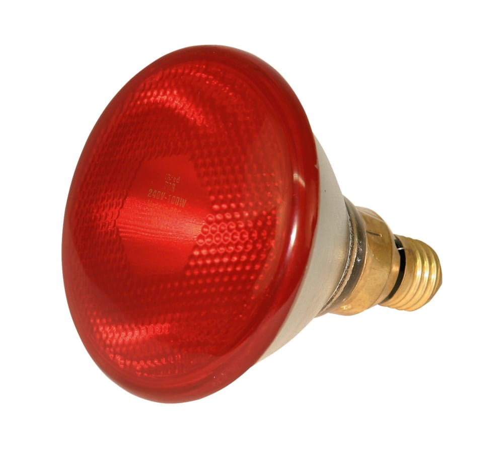 Infrared energy-saving lamp PAR38 E27 - red / 100W