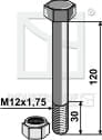 BL28507 Schraube mit Sicherungsmutter - M12 - 8.8