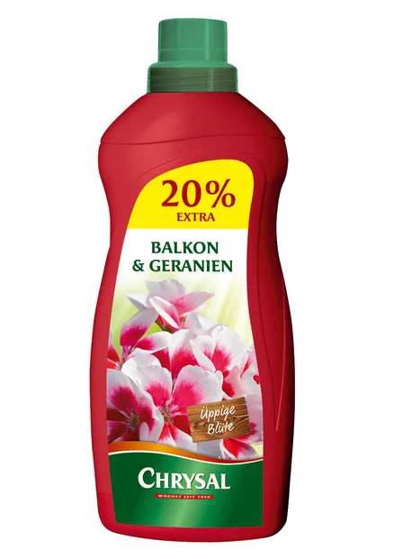 bleach, balkonpflanzen, geranien, blüte, flasche