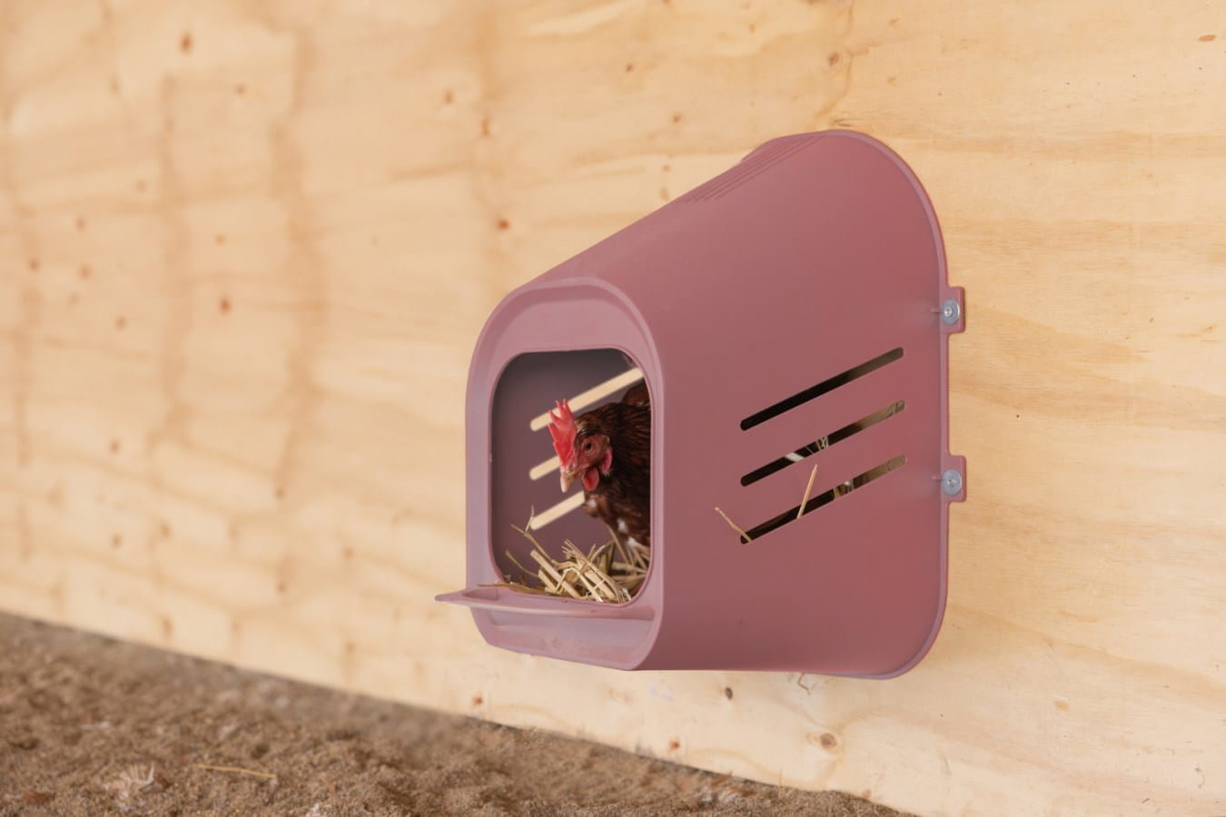 Hühner Einzellegenest - für Wandmontage