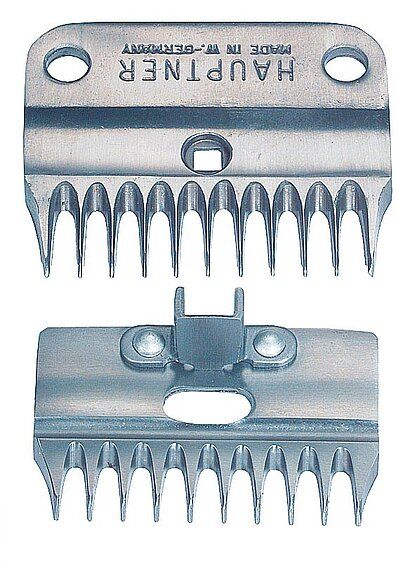 csm_70182_2fb7eef33e_1920x1920