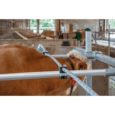 Patura flexibles Nackenseil