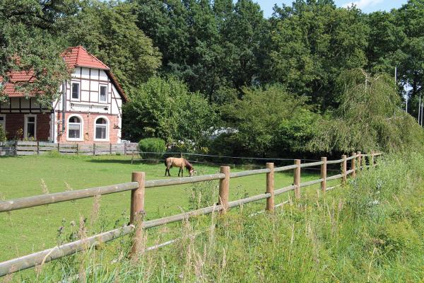 GROWI-R-Zaunsystem-Oxford-Zwischenpfosten-fuer-Zaun-mit-zwei-Querriegeln-10039200_600x600