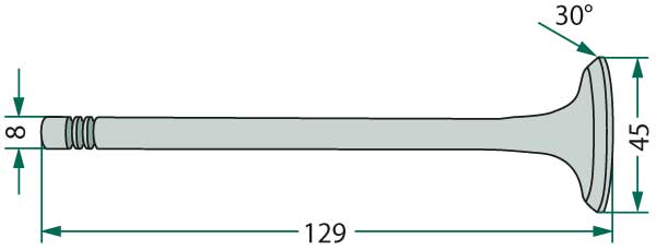 Einlassventil Einlassventil