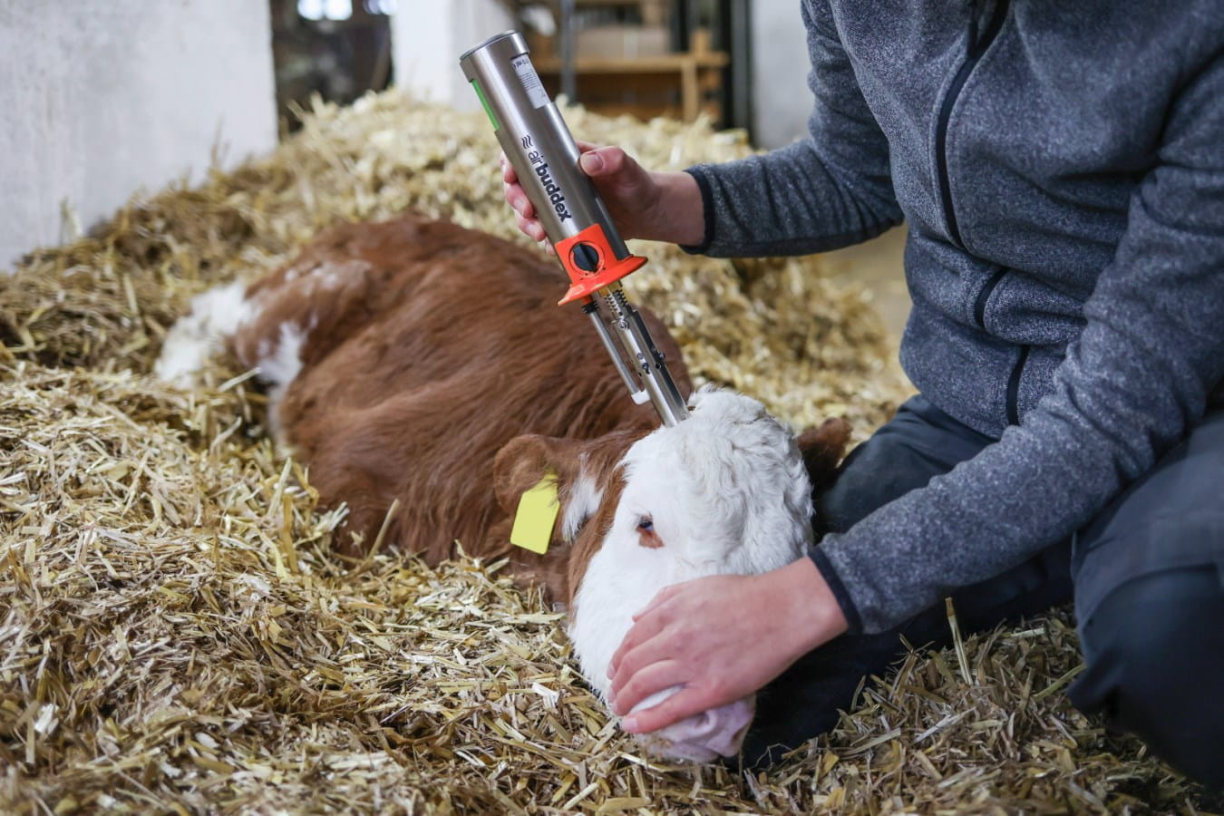 Kerbl Calf Hot Air Dehorner AirBuddex - with 100ml gas cartridge