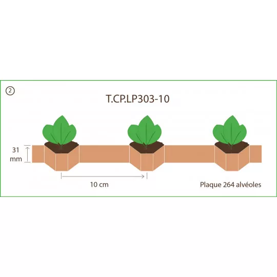 Terrateck 75x Kettentopfpapier 10 cm – 27 m Paperpot Chain Pots (264 Waben) für Profi-Anzucht