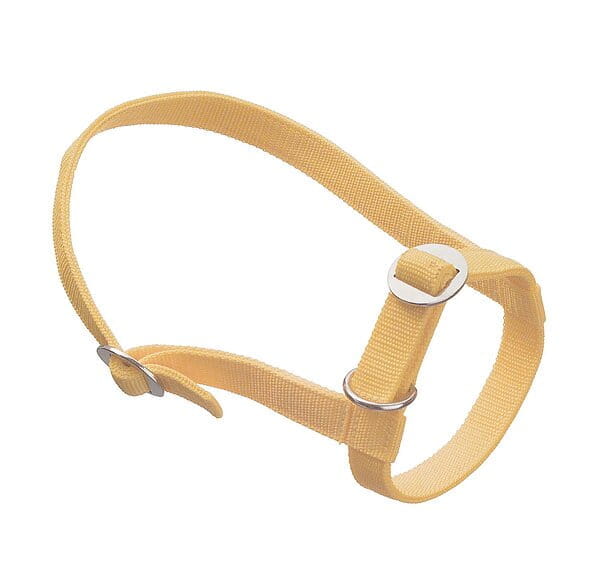 60150 Kälberhalfter