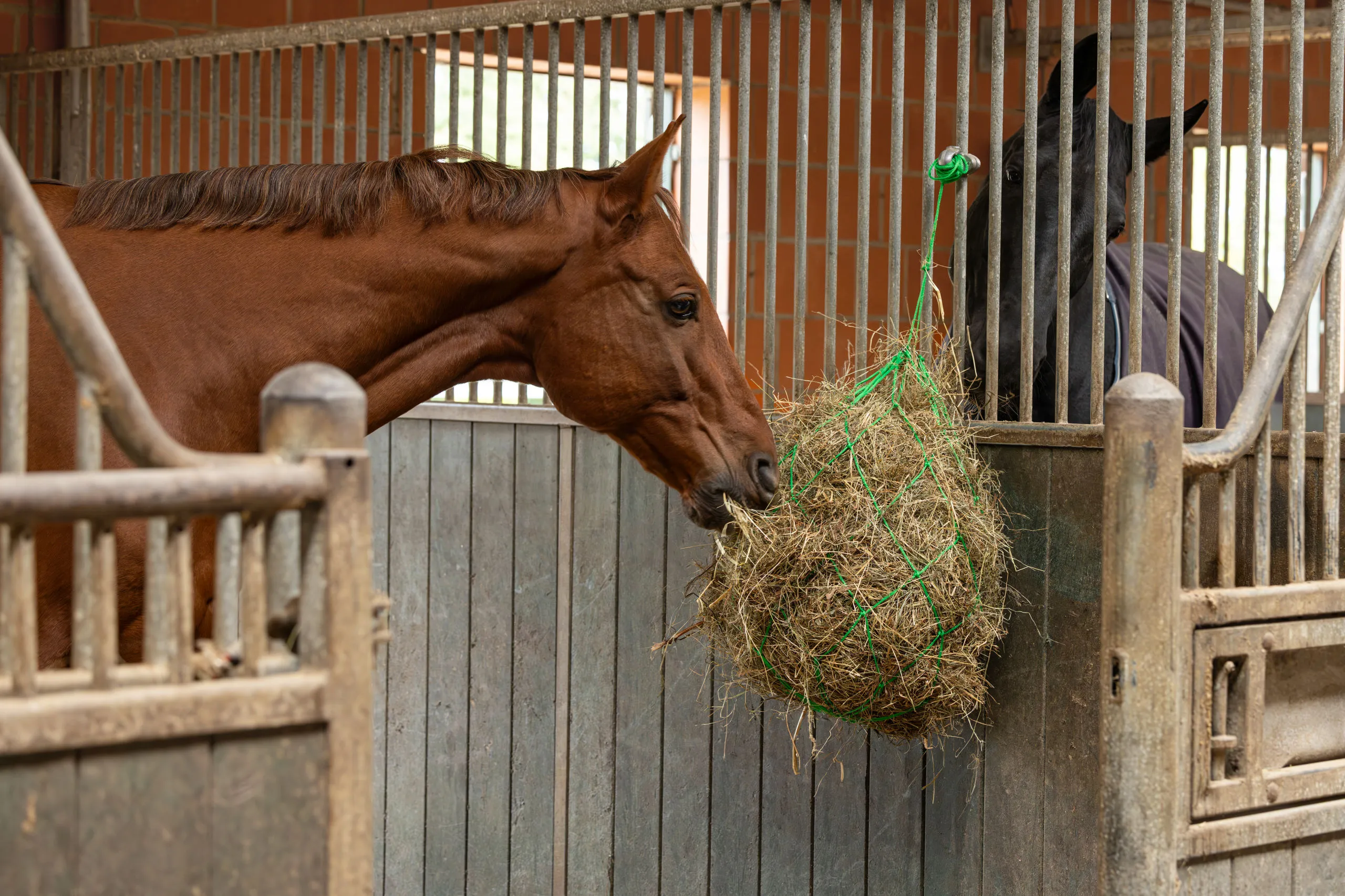 Heunetz 10x10 cm – handgeknüpft mit Aufhängeringen, robust & vielseitig | Farbe: rot