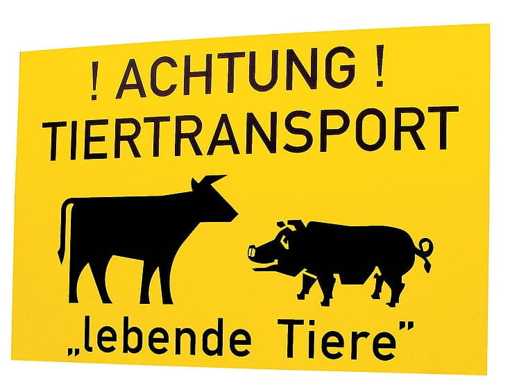 70822 Tiertransporterschild Kunststoff