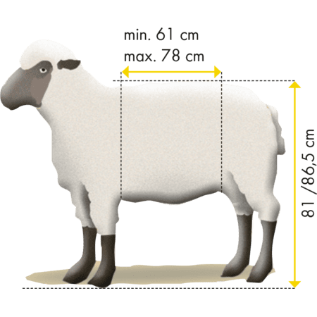 Patura Behandlungsstand Typ XL für Schafe