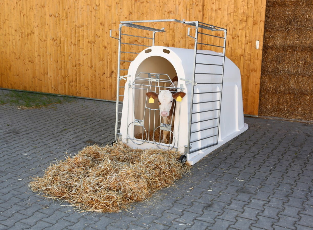Kerbl calf individual igloo with UV stabilizers - with light fencing