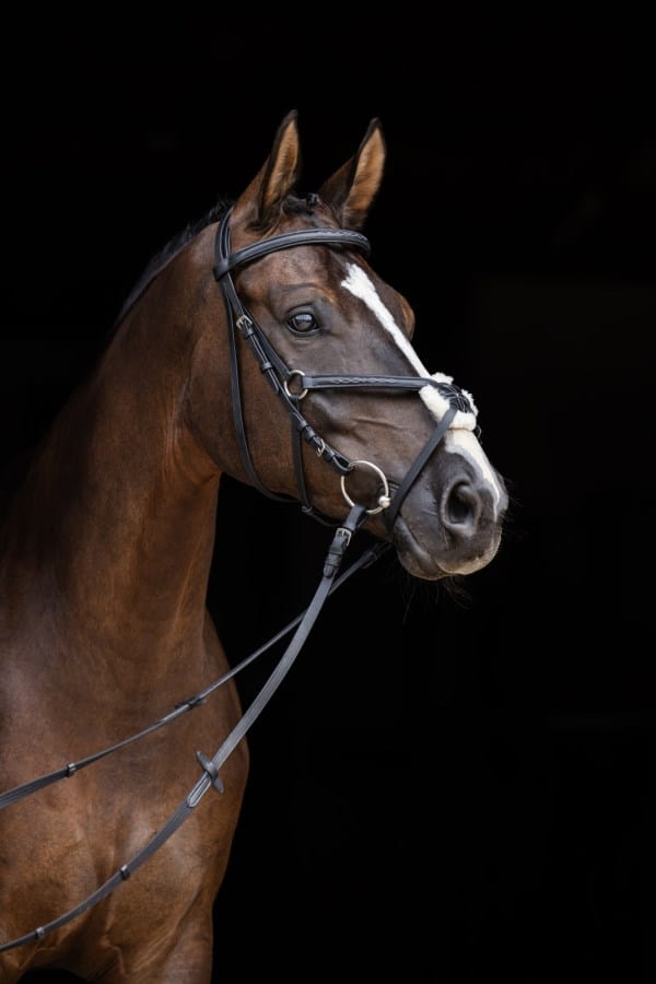 Kerbl Trensenzaum Cancun