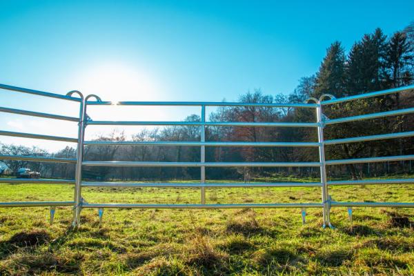 IMG_5967_(1)_600x600