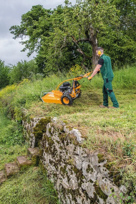 Wiesenmäher AS 73 4T B&S