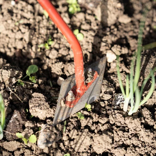 Unkrauthacke Diamant