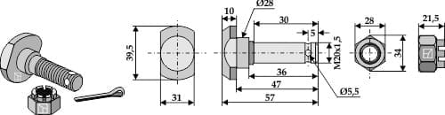 BL3451 Messerschraube mit Kronenmutter M20 - passend zu Schmidt
