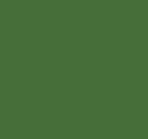 BL15230 Lack RAL 6010 grasgrün - 2,5l