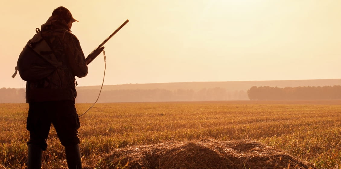 Bildschirmfoto_22-10-2025_75548_www.fritzgoebel.de