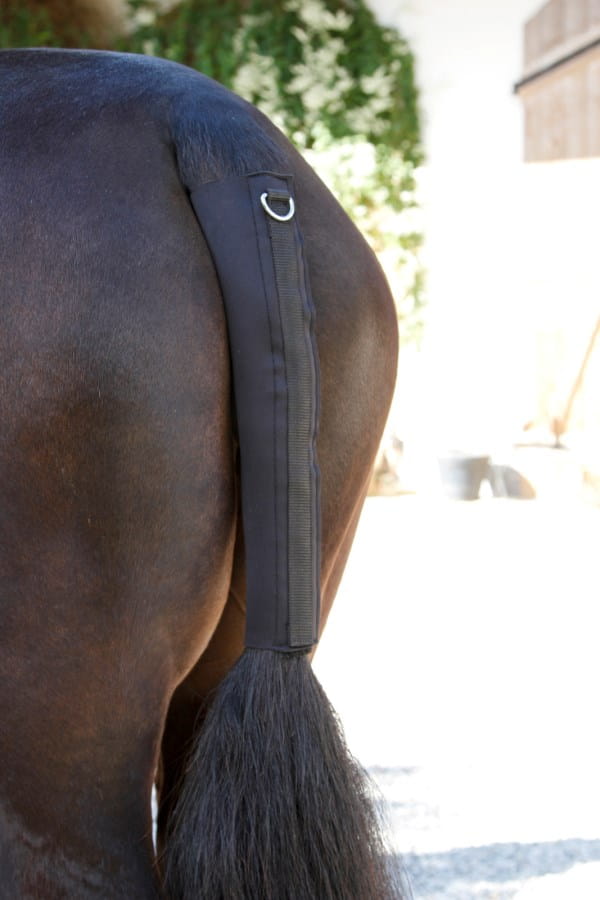Tail guards for horses