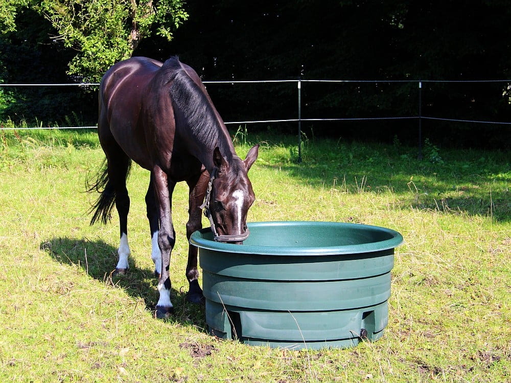 GROWI-R-Weidetraenke-Eco-Poly-1000-Liter-10038240