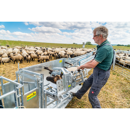 Patura Behandlungsstand Typ XL für Schafe