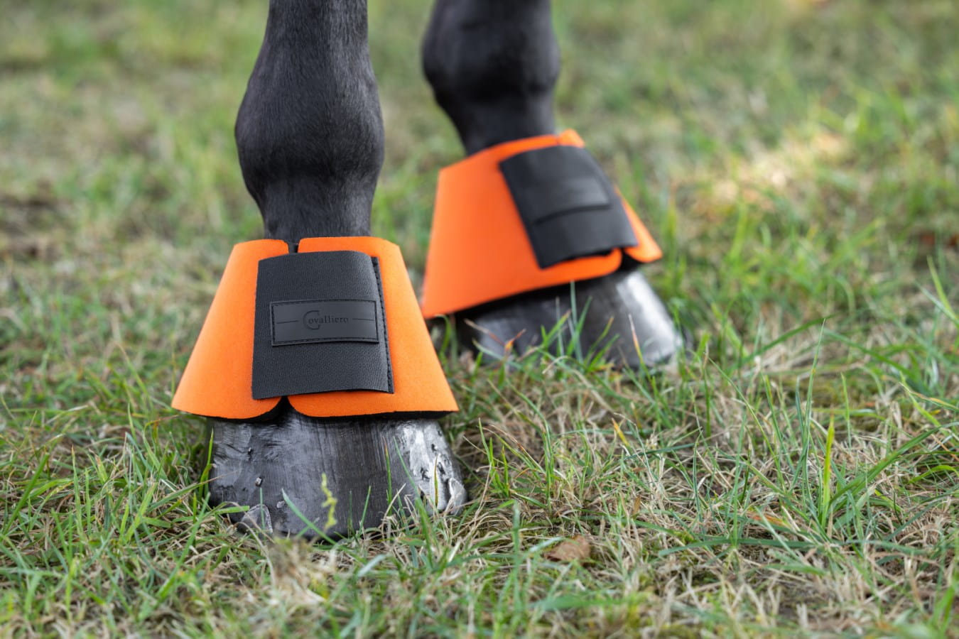 2x NeoLite hoof boots - extra thickly padded