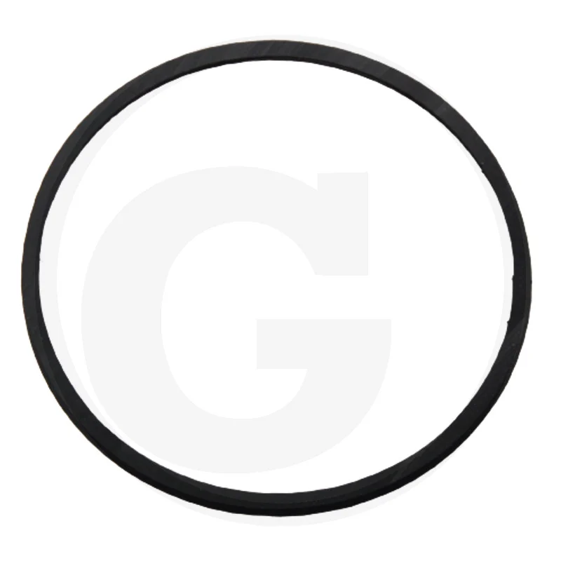 Yanmar Dichtung Thermostat