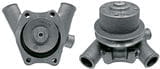 BL26229 Wasserpumpe - passend zu Renault 0123100200 / A3.152 / AD3.152