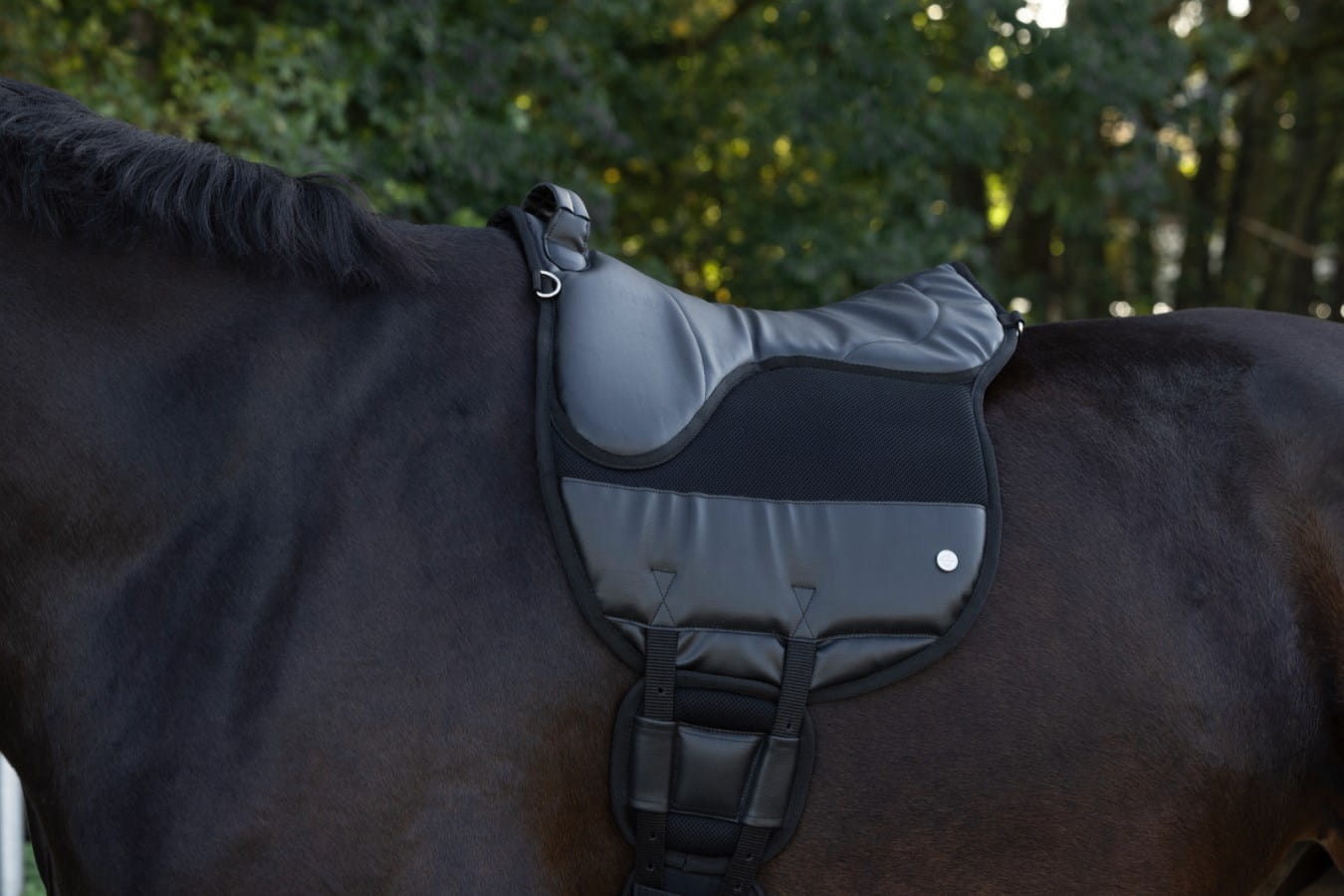 Kerbl Reitpad AiRide | optimale Druckverteilung