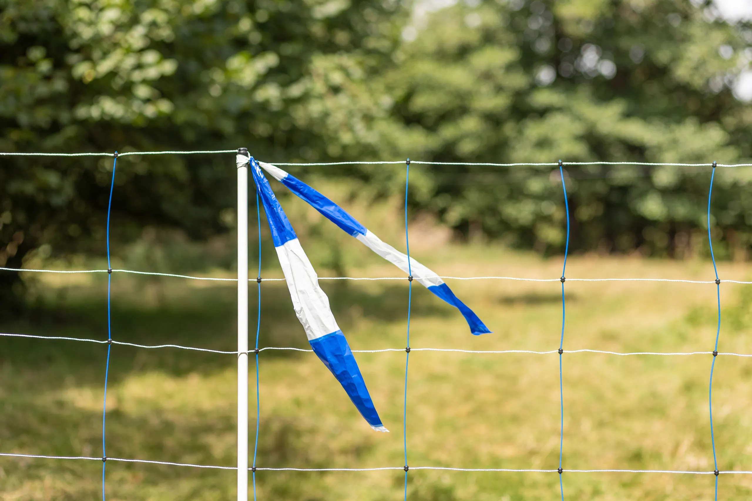 Herdenschutzband blau/weiß, geblockt, 80mm x 100m Rolle