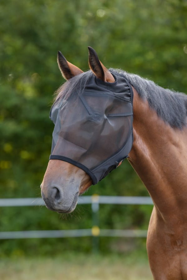 Fliegenmaske mit Ohrenaussparung - gepolstert