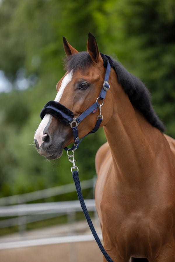 Kerbl Halfter ClassicSoft