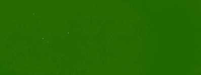 BLET21019 Lack Amazone grün - 1 Liter