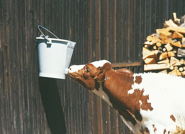 csm_70034_d2d63592d7_1920x1920