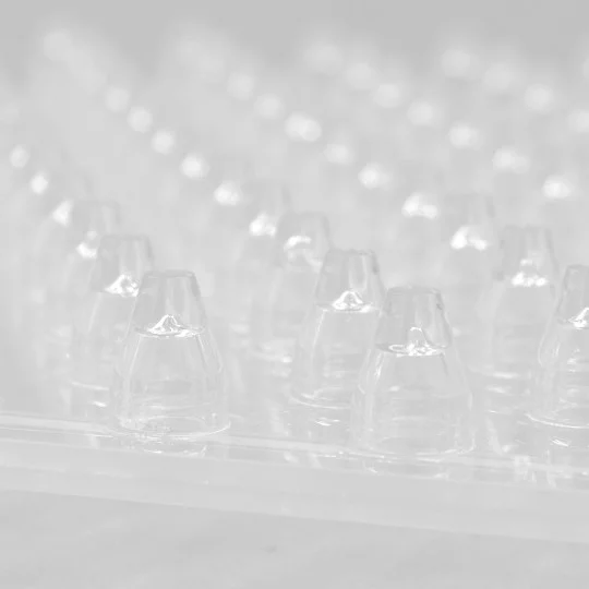 Terrateck Preperforierer für Paperpot – 264 Loch Vorperforierer für Wabenketten