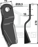 BL28021 Schlegel - links