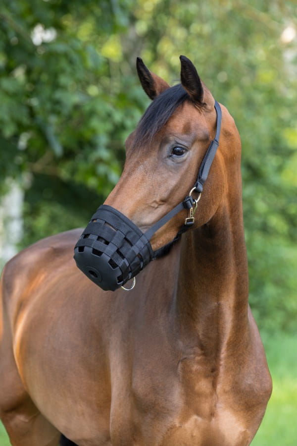 Kerbl muzzle for horses