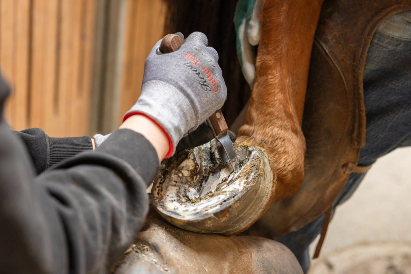 Huf- und Klauenmesser ProfiLoop - zweischneidig