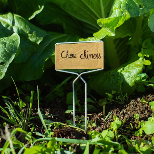 Flortill – Rectangular Tape&Tag Label Holder for Sticking On Labels - T245 x 10 Pieces