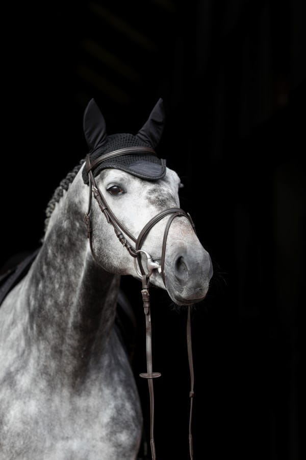 Fliegenhaube Empara - dezentes Glitzer | Größe: Cob / Full