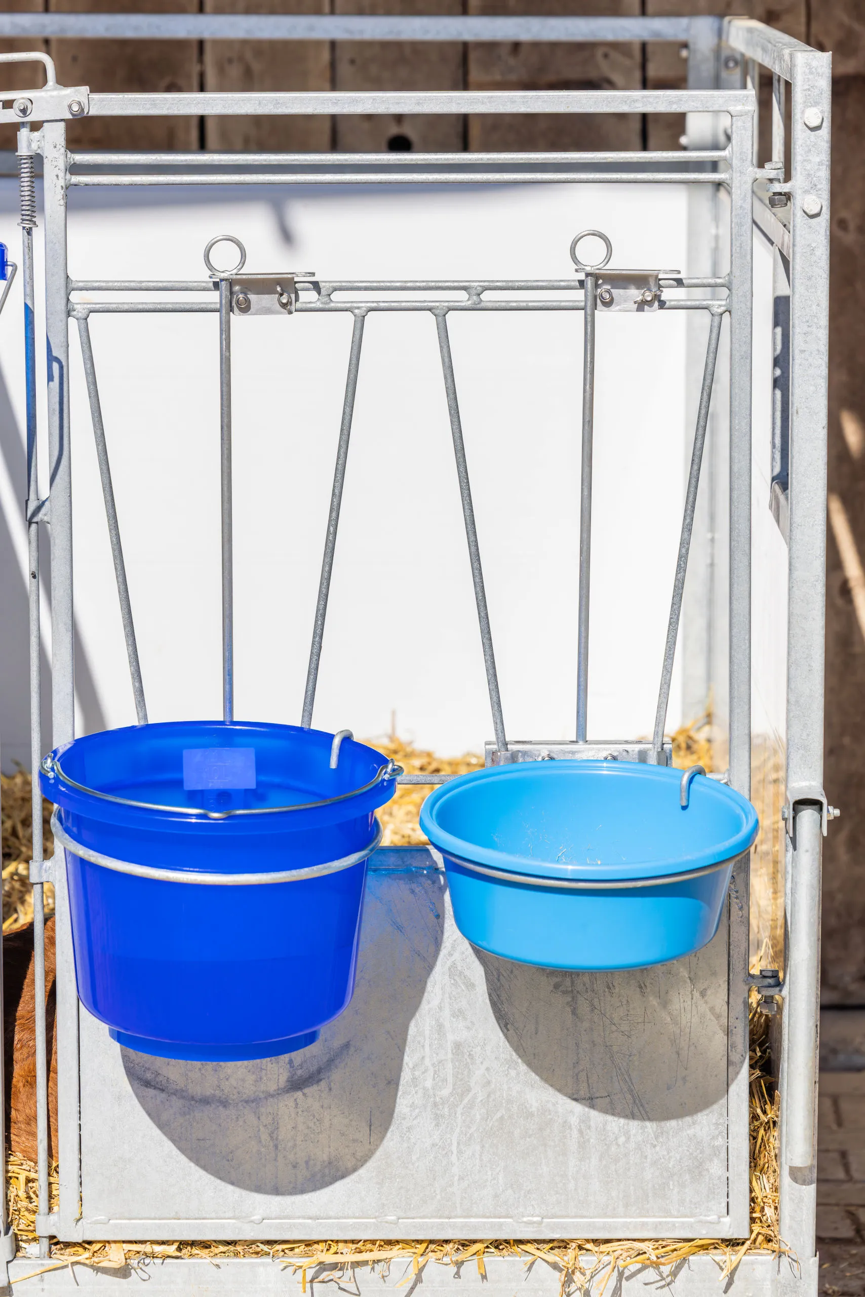 Feed bowl 2L Ø 21 cm – Robust plastic feed bowl for stables & animals | Color: blue