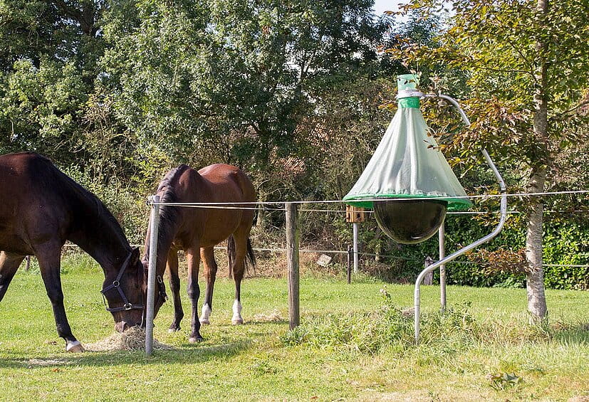 csm_71861_3_d92ebb3623_1920x1920 (1)