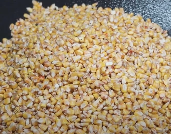 Getreideextruder 150kg/h - Anschluss 400V / 15kW