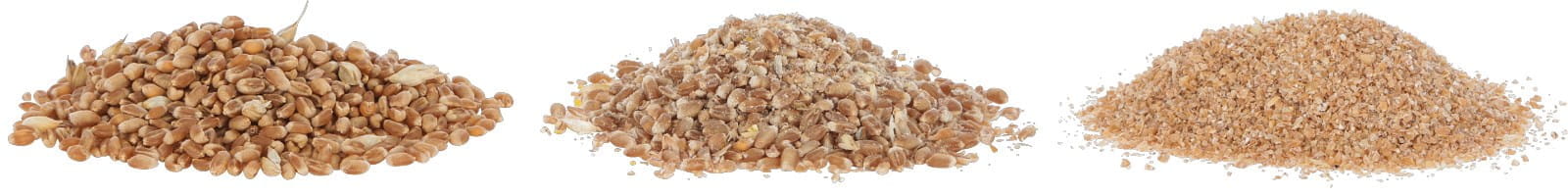 Elektrische Getreidemühle 18L - 230V / 580W