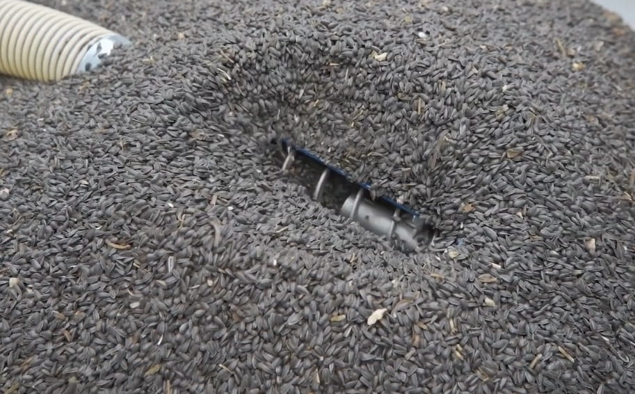 Mini oil press production line – cold press system up to 150 kg/h | High-quality oil production