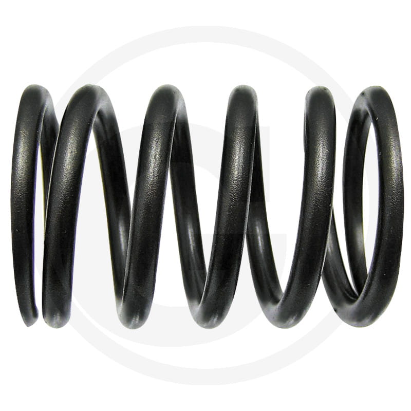 Ventilfeder außen - passend zu Motor MWM D226B