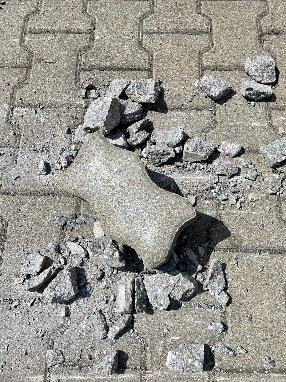 Backenbrecher B300 - Benzinmotor 13PS