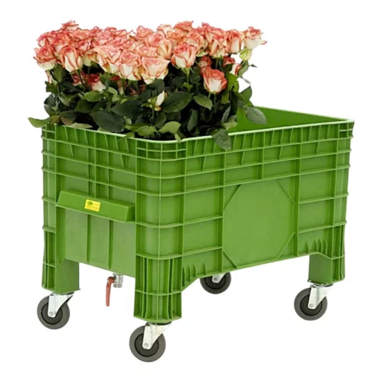 _roses, pink roses, flower cart, green crate, wheel cart