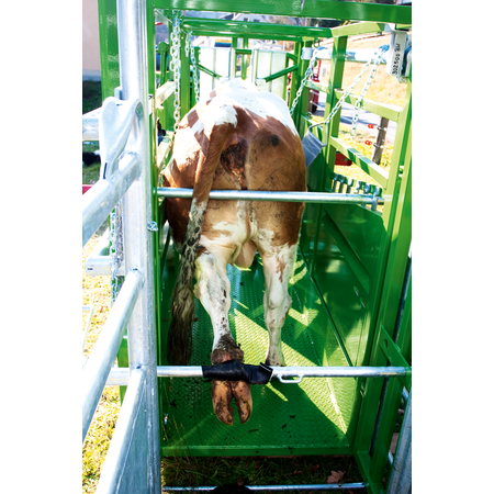 Patura Behandlungsstand A5000